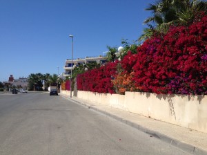 01896fd5d1c4be80bb03de23ee28fcfa60f4977db2 kopia