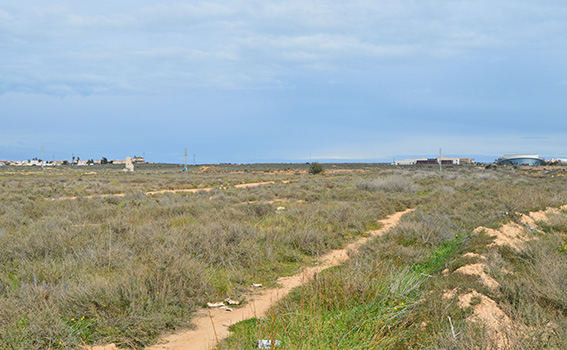 L3Rvb2xzL3Bob3RvYWxidW1fdmlldy9jdXN0b21lci9pbWcvNzMwNC9tZWRpdW0xLzczMDQ5MC5qcGcvQ3JvcC8_eD0wJnk9MCZ3aWR0aD01NjcmaGVpZ2h0PTM1MA