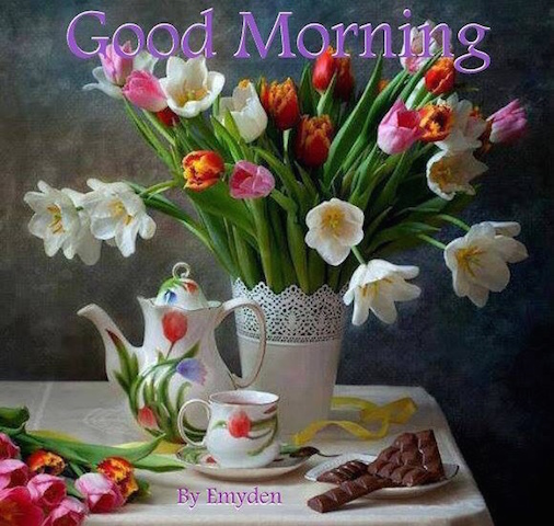 019a4dab4a514cd42592896423faab4ab495760672 kopia 2