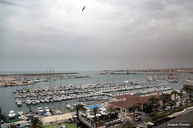 11069952_1021800911183320_4111333511809325674_n