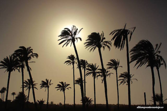 11136699_1021194834577261_958572170416574223_n