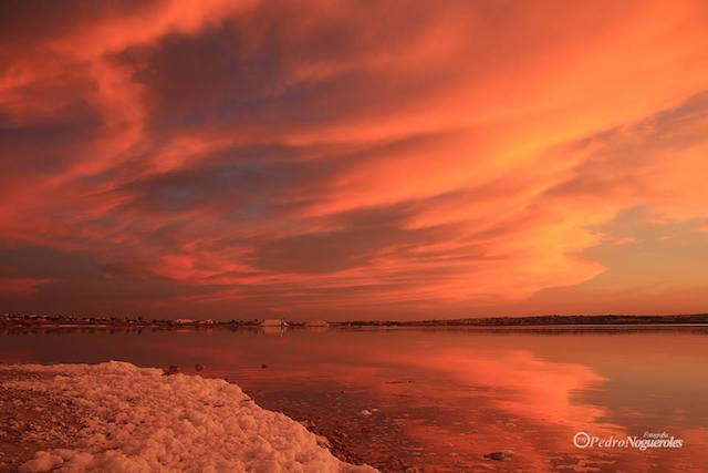 11678_1013076032055808_1182023941793298122_n