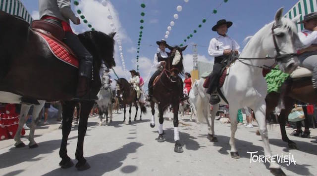 10365919_666635603384311_2094586420772447269_n kopia