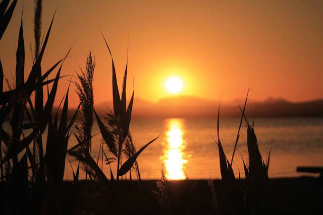 10389464_1038499832846761_6718745431885613923_n kopia