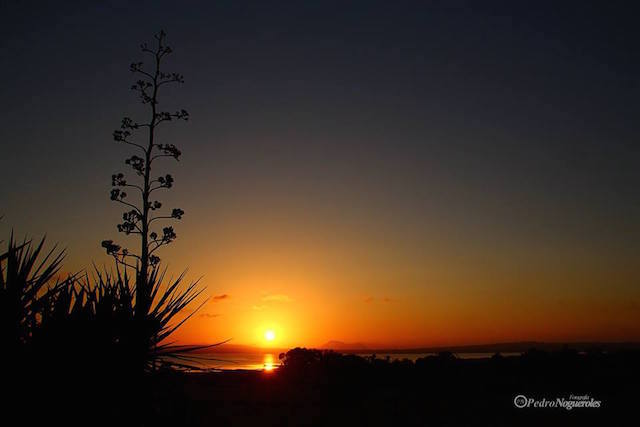 11149517_1033872309976180_7764897339724040226_n