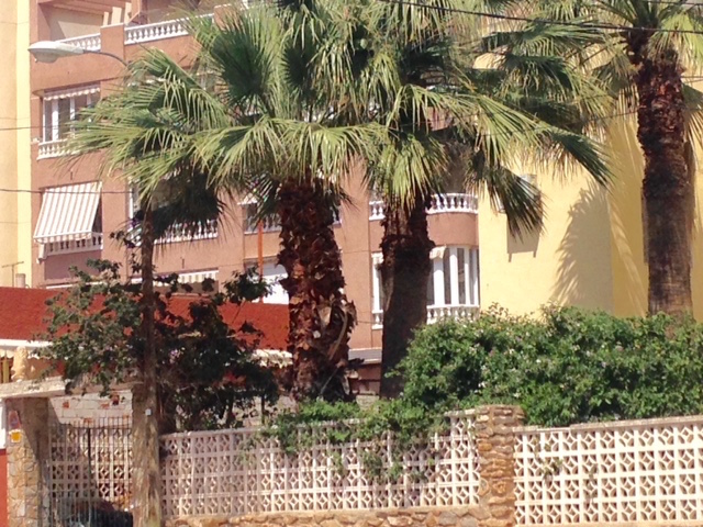 3FullSizeRender kopia