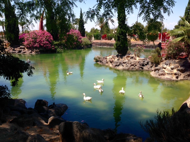 8FullSizeRender kopia