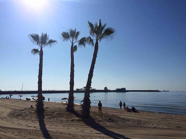 11010504_1058101534219924_6592408647288322032_n