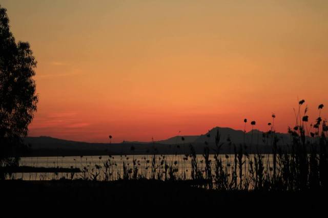 11196311_1050064075023670_8125342321257711578_n