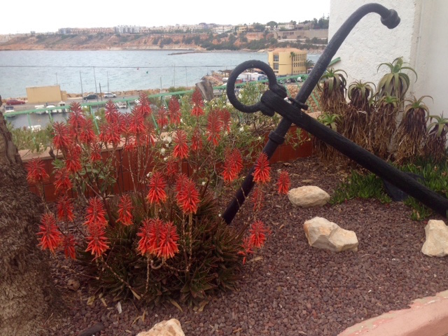 11FullSizeRender kopia