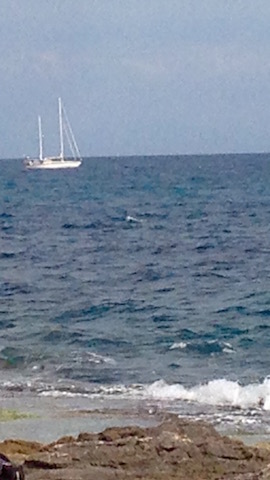 1FullSizeRender kopia