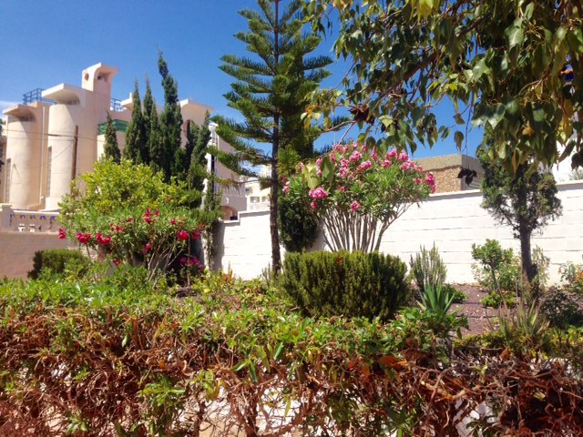 2FullSizeRender kopia