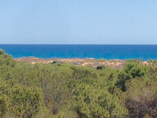 5FullSizeRender kopia