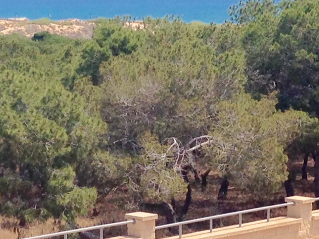 6FullSizeRender kopia