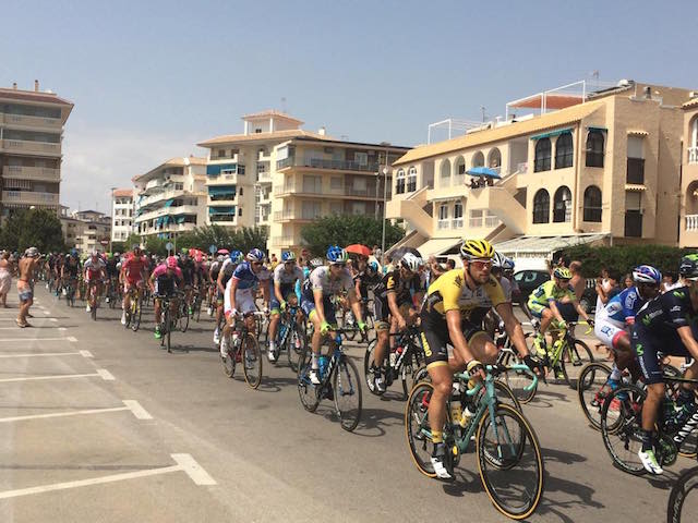 11816979_892723350775534_6190447320280013356_n