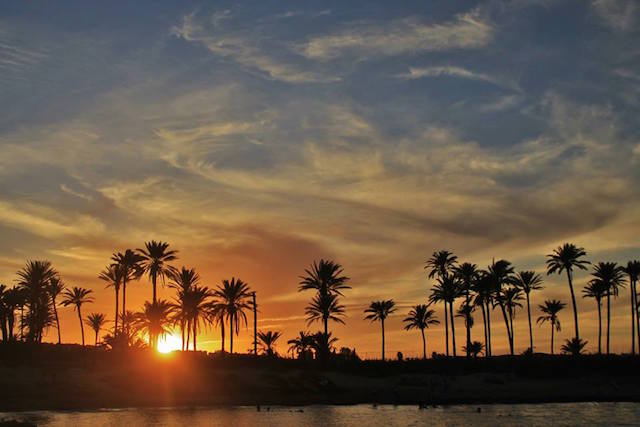 11888006_1087530024610408_262603127027539830_n