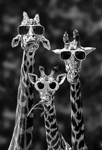 01a42ff73bc45eeb39a6e2d5752017b07337f94507 kopia