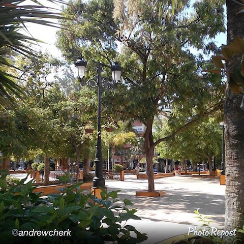 11953028_895882890459580_1512598008846469293_n