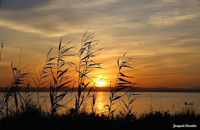 12019807_1105036396193104_5459798461576819514_n