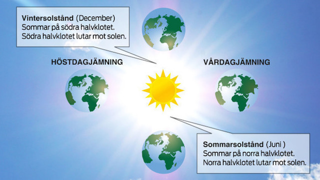 56563499476760624_8324_custom_item