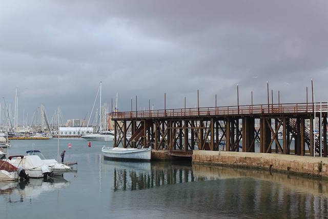 12313779_1147191955310881_1065209446618002191_n