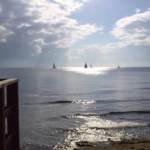 734540_942383345809534_454574320800040331_n