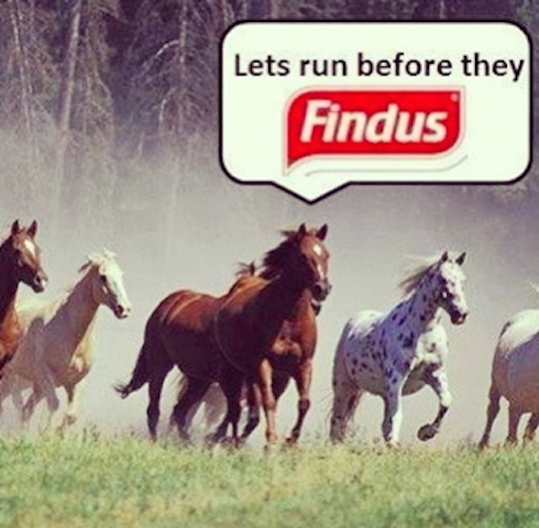 D965680D-11E4-4111-9E72-60E9FBF665DE kopia