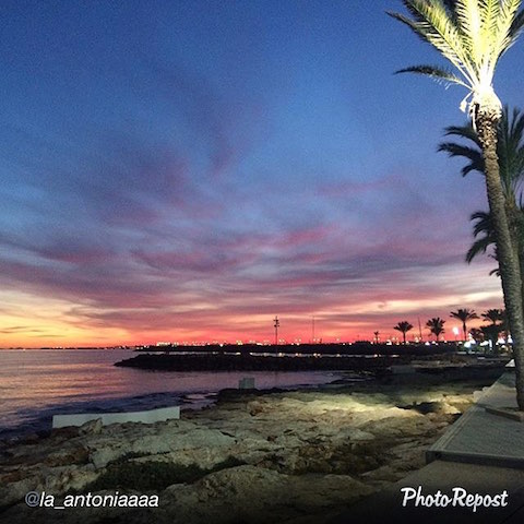 12540818_950586058322596_8651750064266673255_n