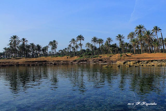 12573157_1177513712278705_6421825883743715786_n