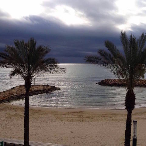 12592653_959813807399821_434168390658958741_n