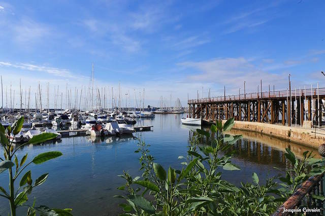 12715638_1191750527521690_2357492622219784584_n