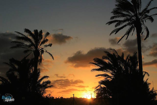 12742372_1193120054051404_2240710789026760511_n