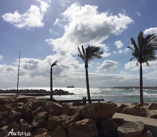 12745686_1192982264065183_8282879959443898110_n