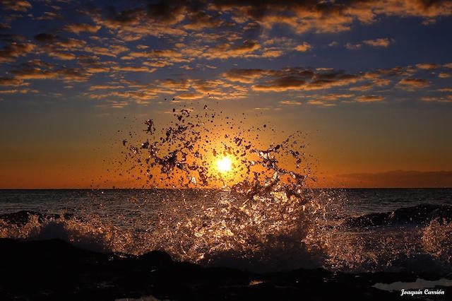 12745840_1190926317604111_3449922182626180393_n