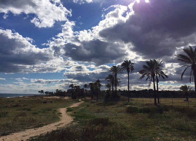 1934124_1189862421043834_7334451641621255206_n