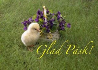 11057945_1127992663892810_4202556104017546721_n