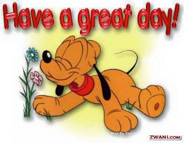 11953018_1668685003367566_7088857038089673690_n