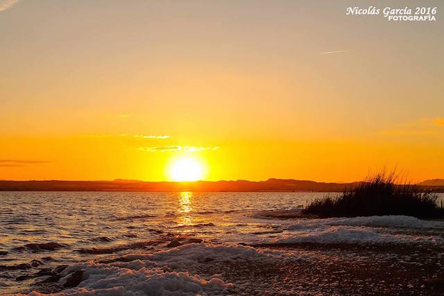 12801552_1223578264338916_2313901627024678730_n