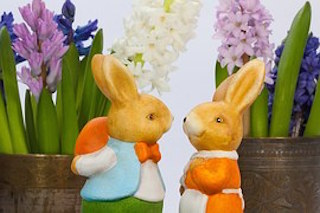 easter-bunny-1242610__180