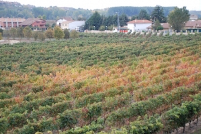 11369__ImageNormal__bxUKUkbFVgKoWKVQuJyGp