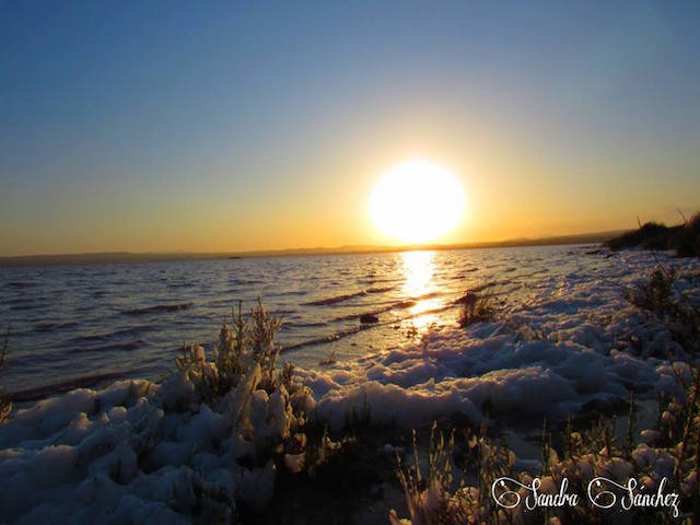 11959984_1236235876406488_7605224608649762777_n