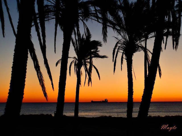 12541164_1170695509627192_6992148510963244160_n