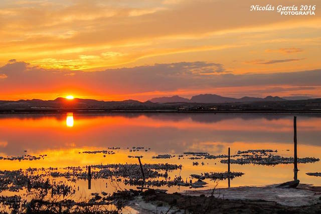 13007339_1244660162230726_4439845949716483060_n