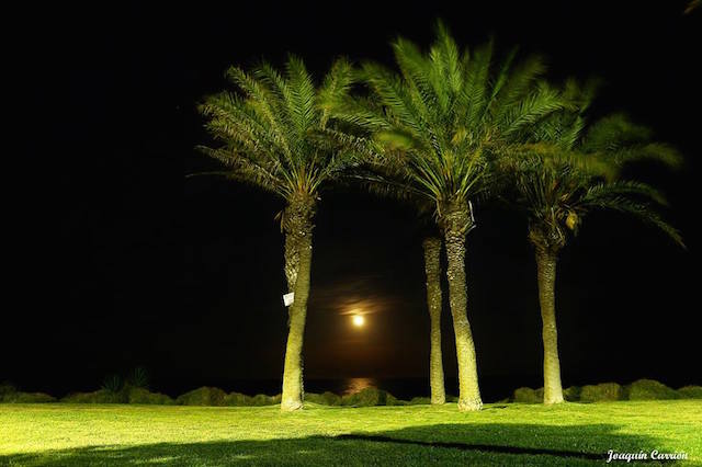 13076635_1244693895560686_8524879139172235878_n