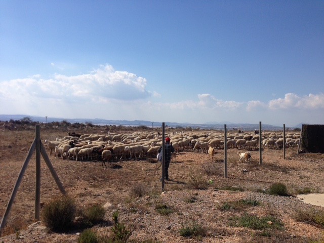 1FullSizeRender kopia