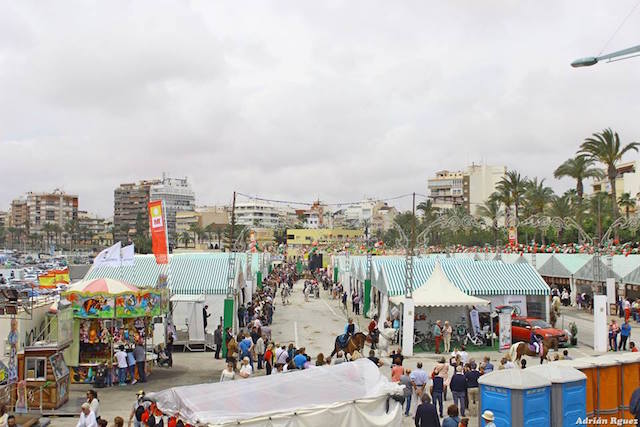 13119038_1256200607743348_8631739847442515092_n