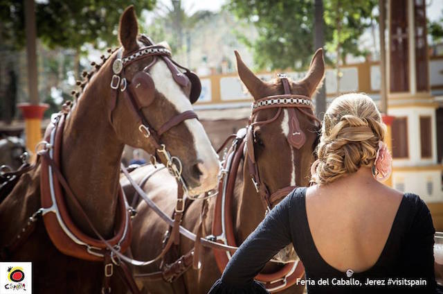 13124573_1082573898480933_3623807450102753599_n