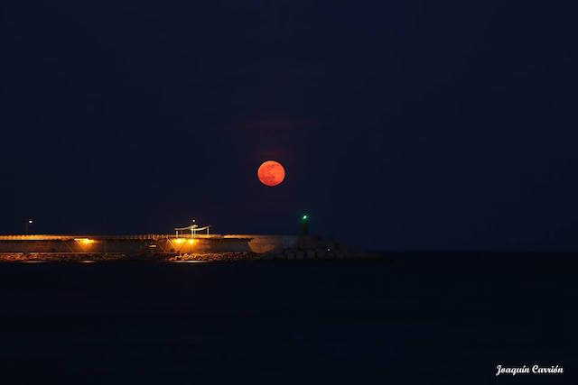 13240165_1266455886717820_8195367358991506342_n