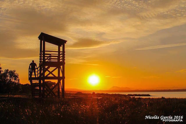 13240170_1267181133311962_1520062824290423462_n