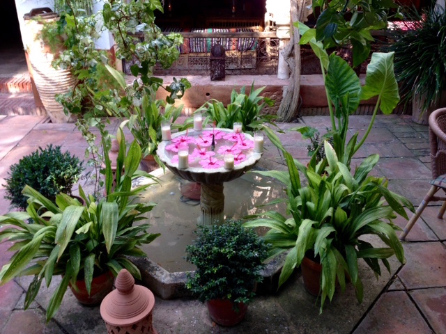 1FullSizeRender kopia